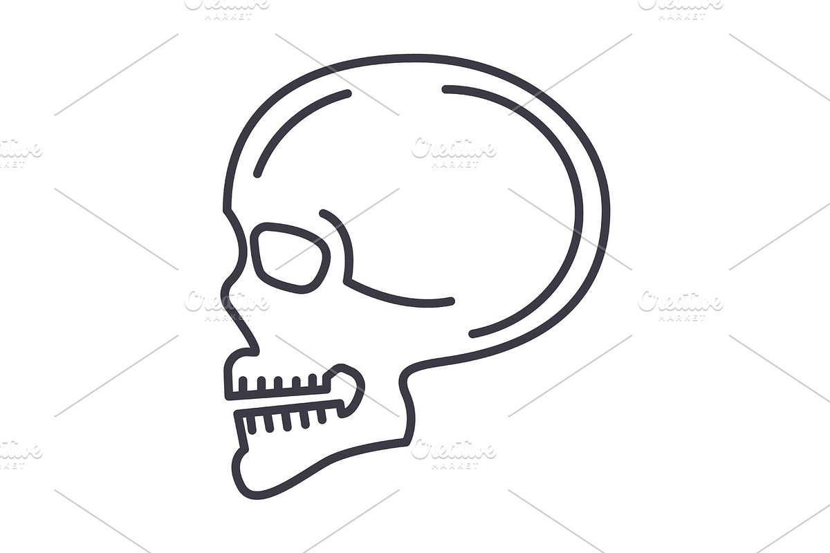 skull front view vector line icon, sign, illustration on background, editable strokes in Illustrations - product preview 8