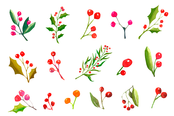 A set watercolor Christmas plants.