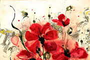 Watercolor poppies with the author's