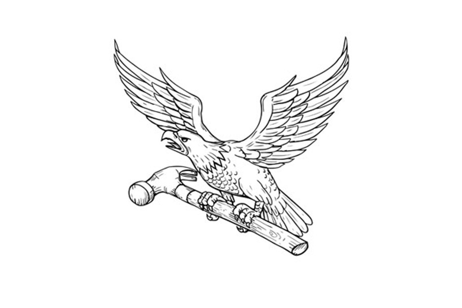 Eagle Clutching Hammer Drawing in Illustrations - product preview 8