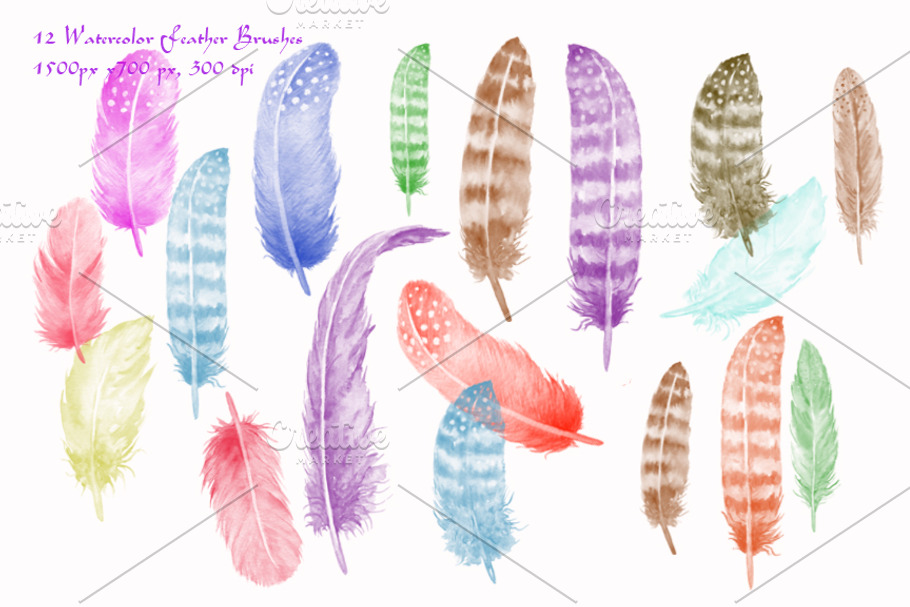Watercolor Photoshop Brush Feathers