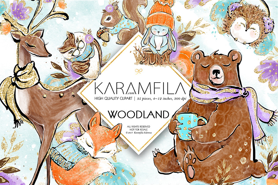 Woodland Clipart in Illustrations - product preview 8