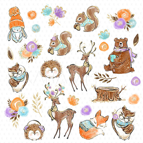 Woodland Clipart in Illustrations - product preview 1