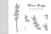 Flower Design. Art Brush & Pattern