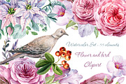 Flower and bird Clipart. Watercolor