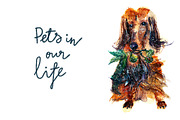 Pets in our life