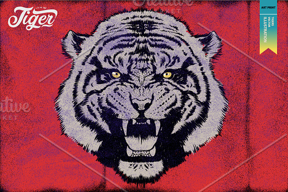EYE OF THE TIGER-Vector illustration in Illustrations - product preview 1
