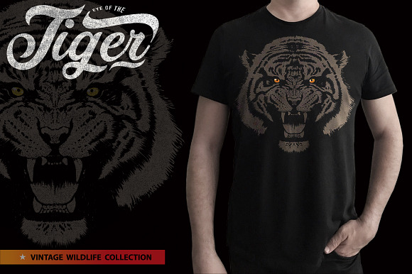 EYE OF THE TIGER-Vector illustration in Illustrations - product preview 3