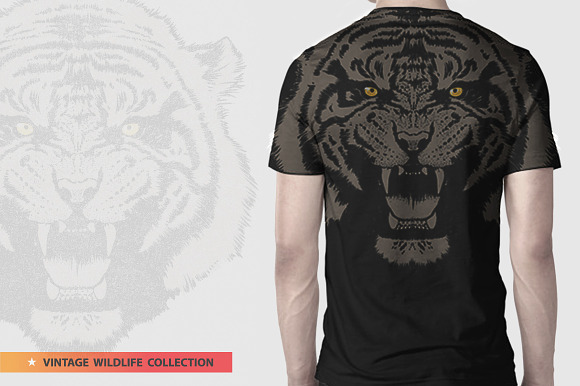 EYE OF THE TIGER-Vector illustration in Illustrations - product preview 5