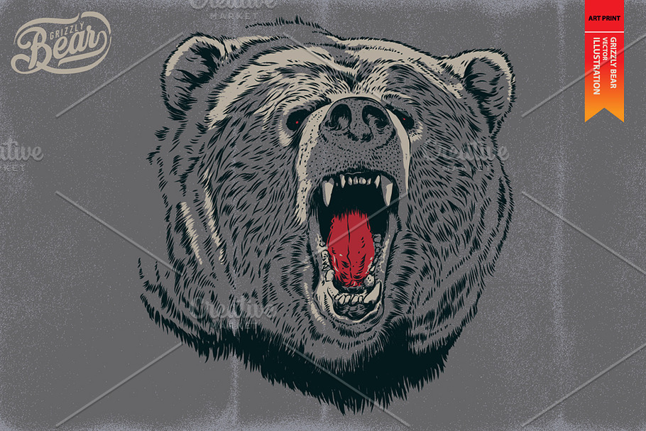 GRIZZLY BEAR - Vector illustration