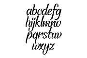 Brush script calligraphy cursive type. Handwritten vector aphabet. Hand drawn lettering font.