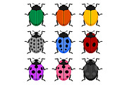 Color Ladybug Set