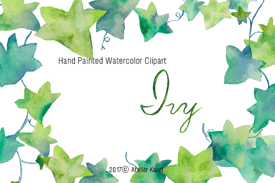 Fresh Green Ivy Clipart  in Illustrations - product preview 8