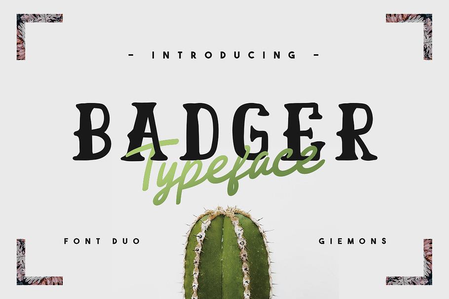 Badger Typeface - 50% OFF in Display Fonts - product preview 8