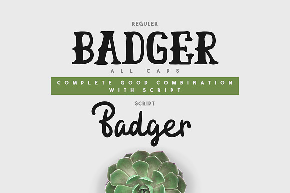 Badger Typeface - 50% OFF in Display Fonts - product preview 1