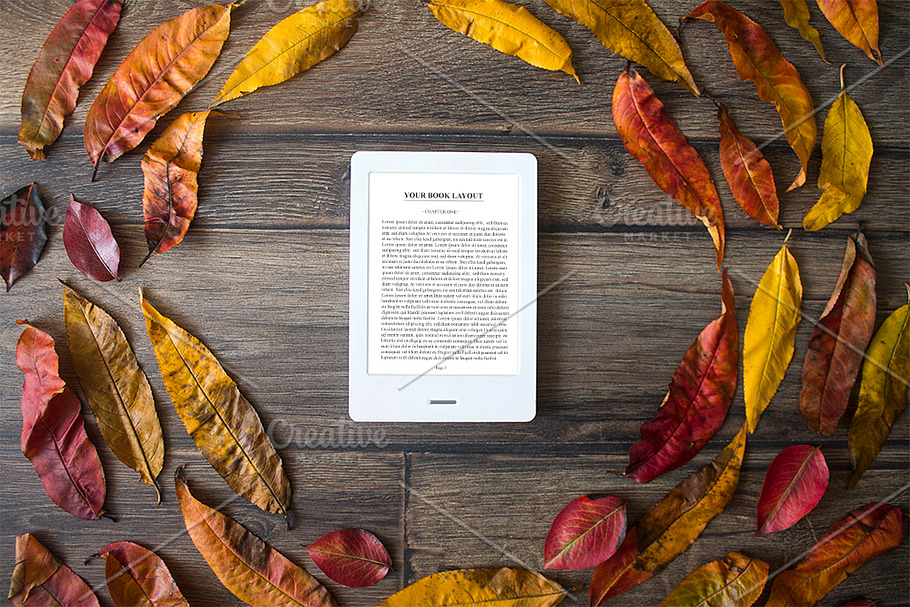E-Book Reader, Mock-Up in Mobile & Web Mockups - product preview 8