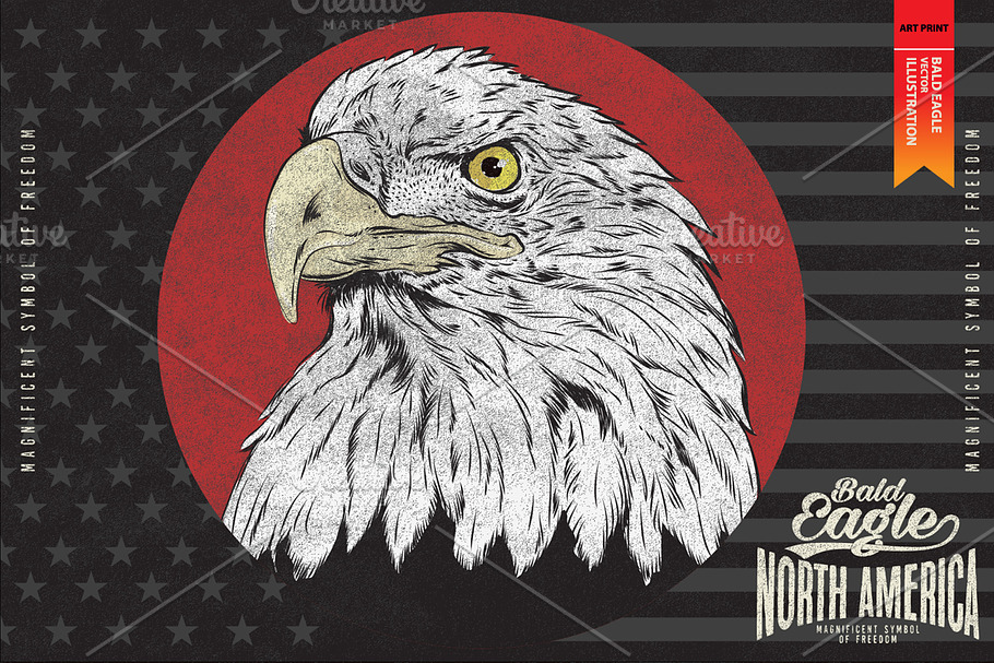 BALD EAGLE - Vector illustration in Illustrations - product preview 8
