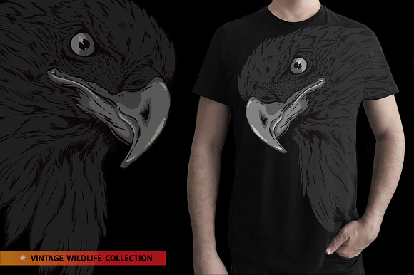 BALD EAGLE - Vector illustration in Illustrations - product preview 4