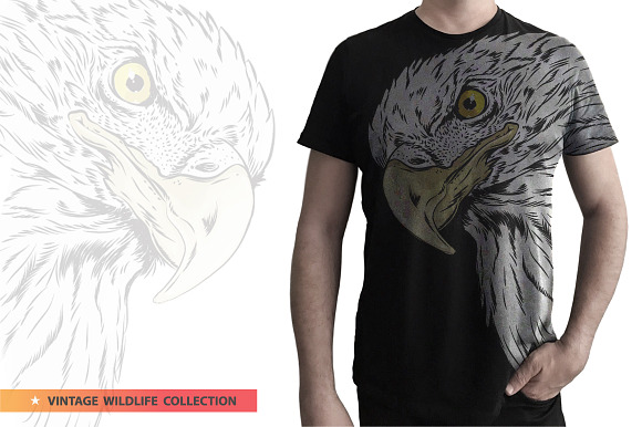 BALD EAGLE - Vector illustration in Illustrations - product preview 6