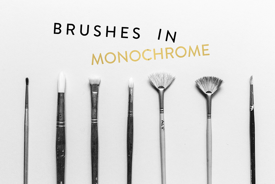 Monochrome Paintbrushes (50% off)