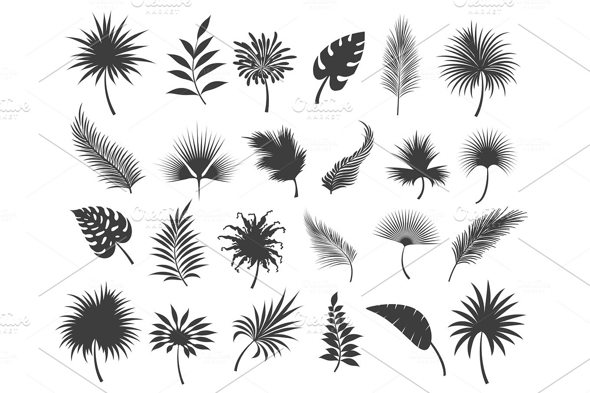 Palms leaves silhouettes in Illustrations - product preview 8