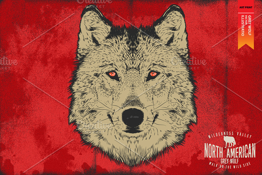 Grey Wolf - Vector illustration in Illustrations - product preview 8