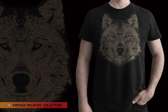 Grey Wolf - Vector illustration in Illustrations - product preview 4