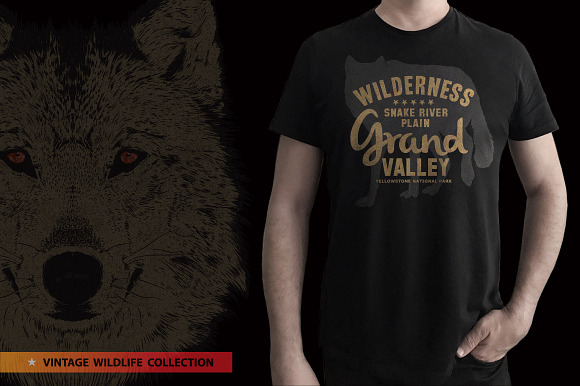 Grey Wolf - Vector illustration in Illustrations - product preview 5