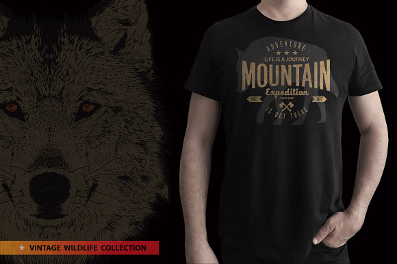Grey Wolf - Vector illustration in Illustrations - product preview 6
