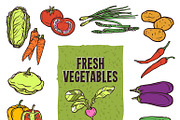 Vegetable sketch icons set