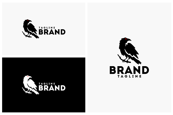 Crow in Logo Templates - product preview 1