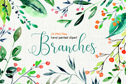 Watercolor branches, leaves PNG