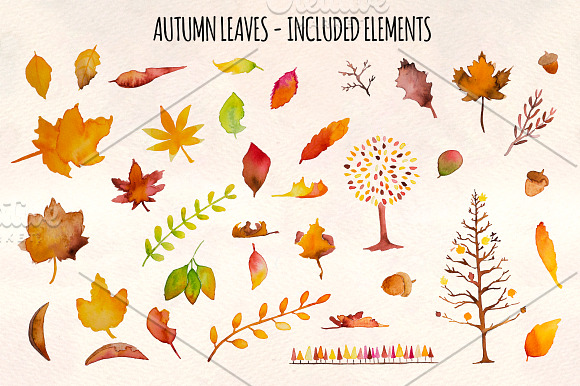 Autumn Leaves 37 Watercolor Elements in Illustrations - product preview 1