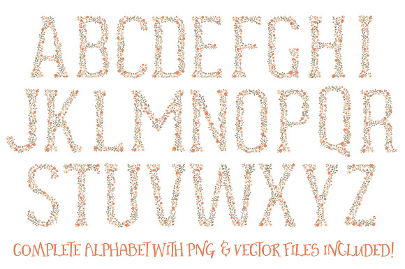 Peach Floral Alphabet Vectors & PNGs in Illustrations - product preview 4