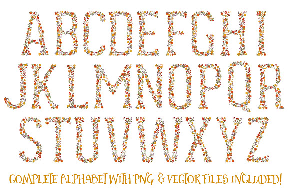 Autum Floral Alphabet Vectors & PNGs in Illustrations - product preview 4