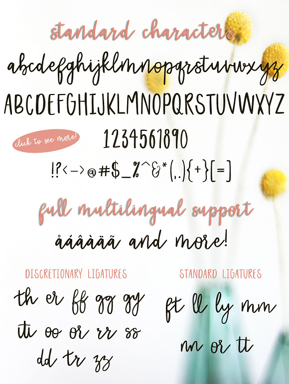Dreamer Script + 10 Free Logos in Script Fonts - product preview 1