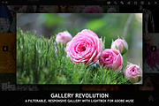 Gallery Revolution - Adobe Muse