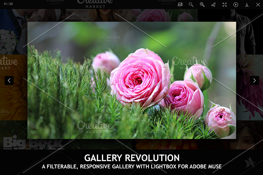 Gallery Revolution - Adobe Muse in Photoshop Plugins - product preview 8