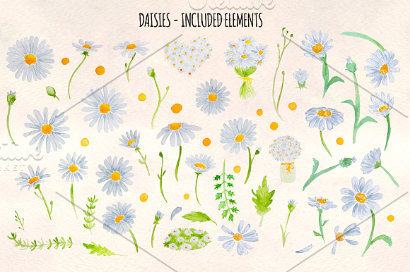 Spring Daisies 60 Watercolor Element in Illustrations - product preview 1
