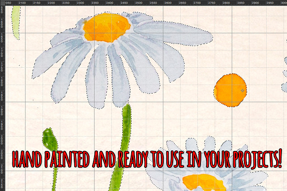 Spring Daisies 60 Watercolor Element in Illustrations - product preview 2