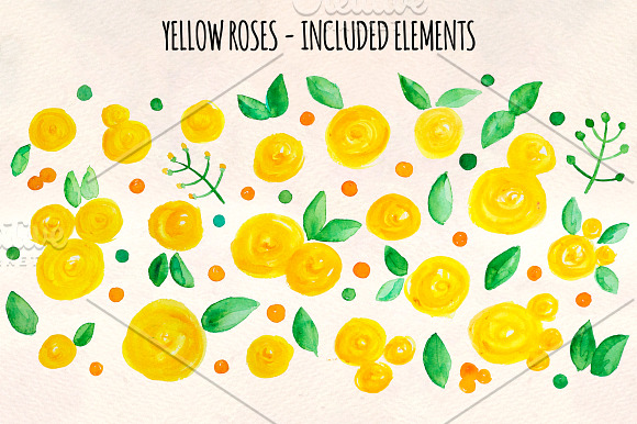 55 Yellow Roses, Leaves and Spots in Illustrations - product preview 1