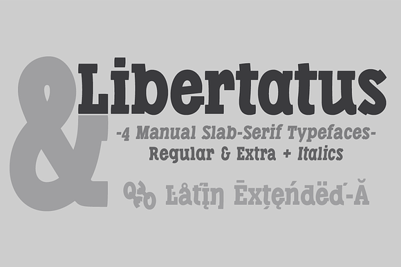 Libertatus fonts in Slab Serif Fonts - product preview 1