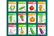 Vector sketch fam vegetables or veggies posters