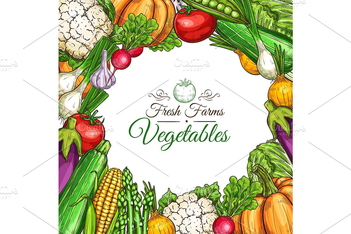 Vector sketch poster of fam vegetables or veggies in Illustrations - product preview 8