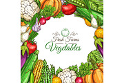 Vector sketch poster of fam vegetables or veggies