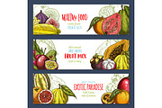 Vector banners of tropical exotic fruits harvest
