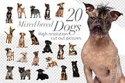 20 Mixed breed Dogs - Cut-out Pics