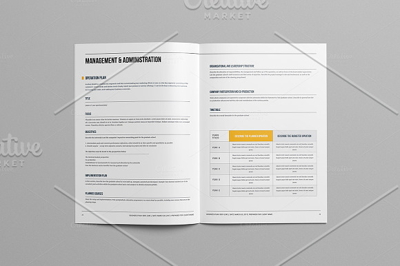 Business Plan Template in Stationery Templates - product preview 16