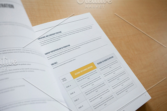 Business Plan Template in Stationery Templates - product preview 38