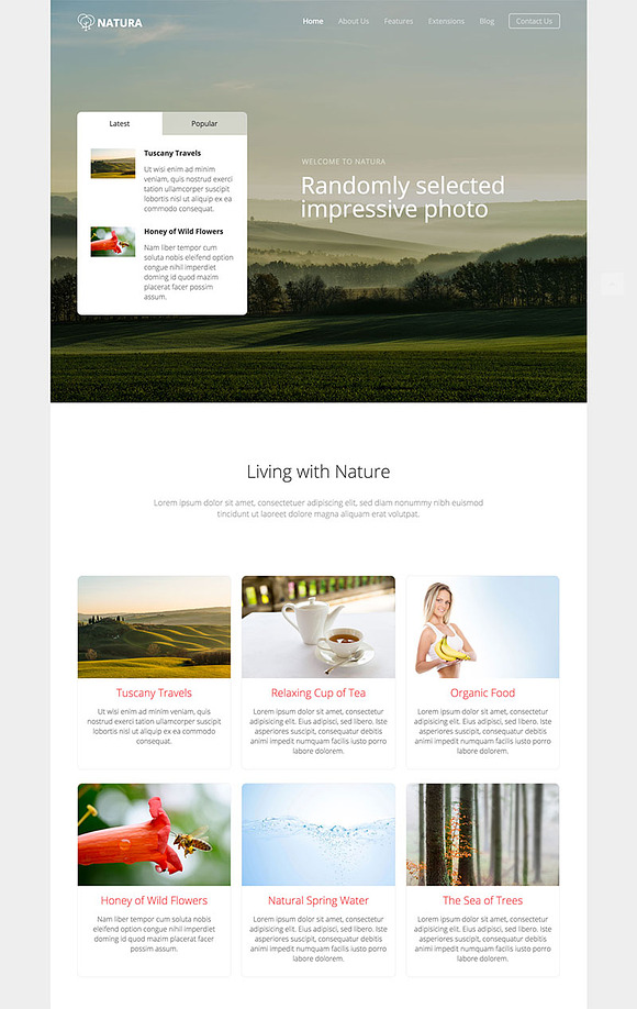 Hot Natura in Joomla Themes - product preview 2